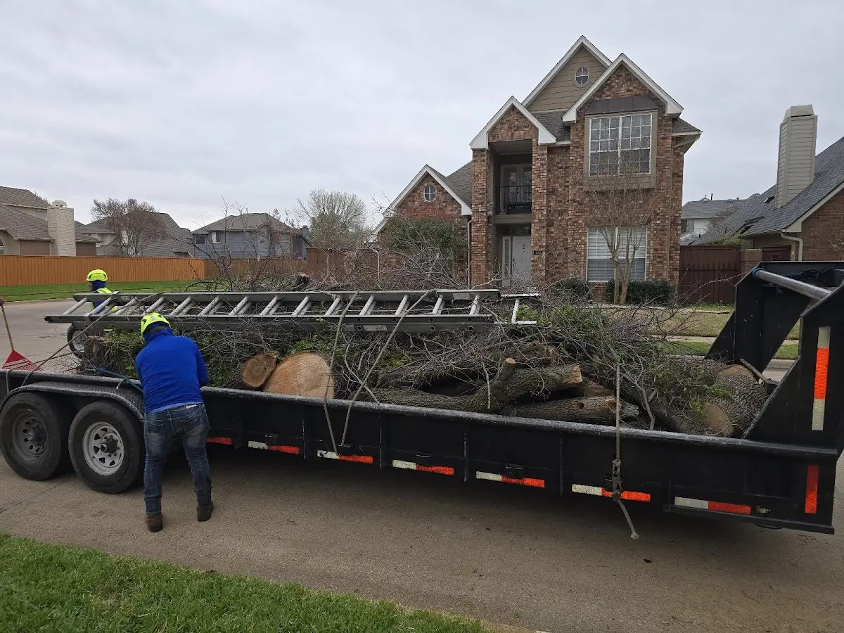 Expert Tree Removal with proper safety equipment in Mount Calvary